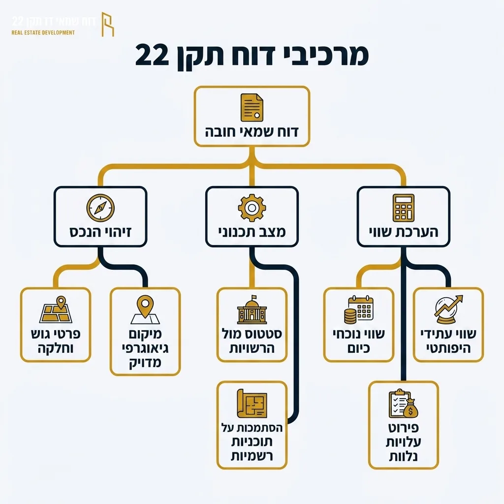 אינפוגרפיקה — מרכיבי דוח תקן 22: דוח שמאי חובה